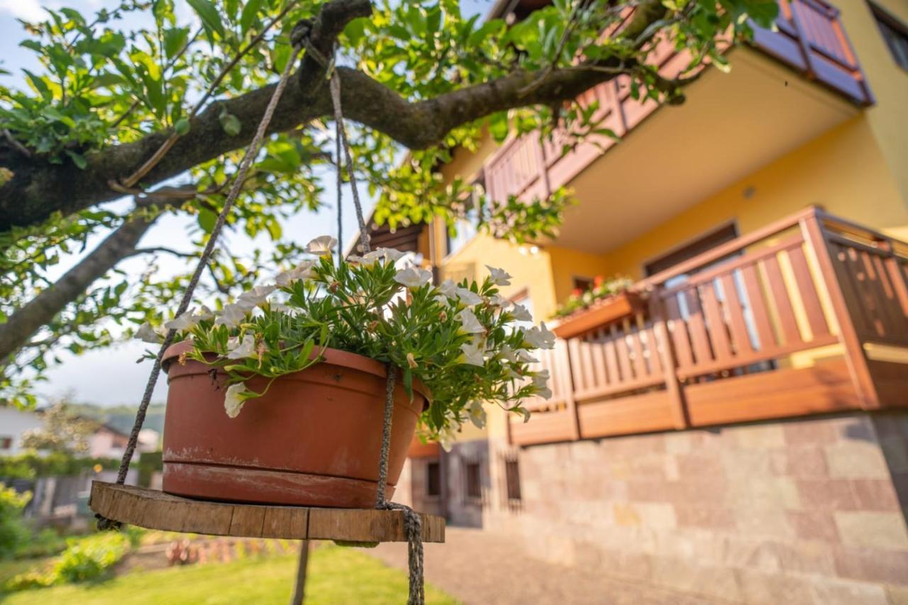 B&B Nonno Carlo Trento Exterior photo
